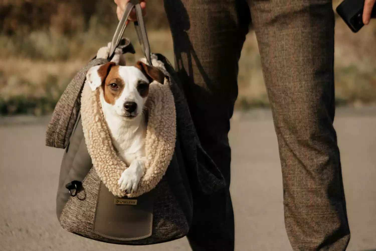 Dog Carrier Purse for Norwich Terrier