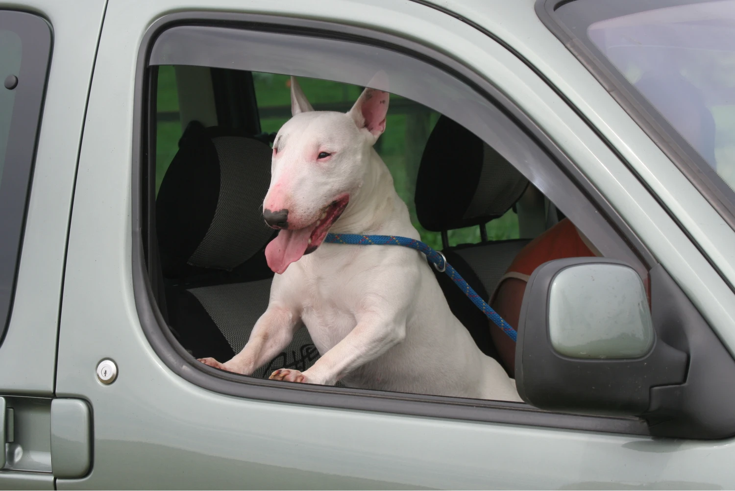 Toyota 4Runner Dog Car Seat for Bull Terriers