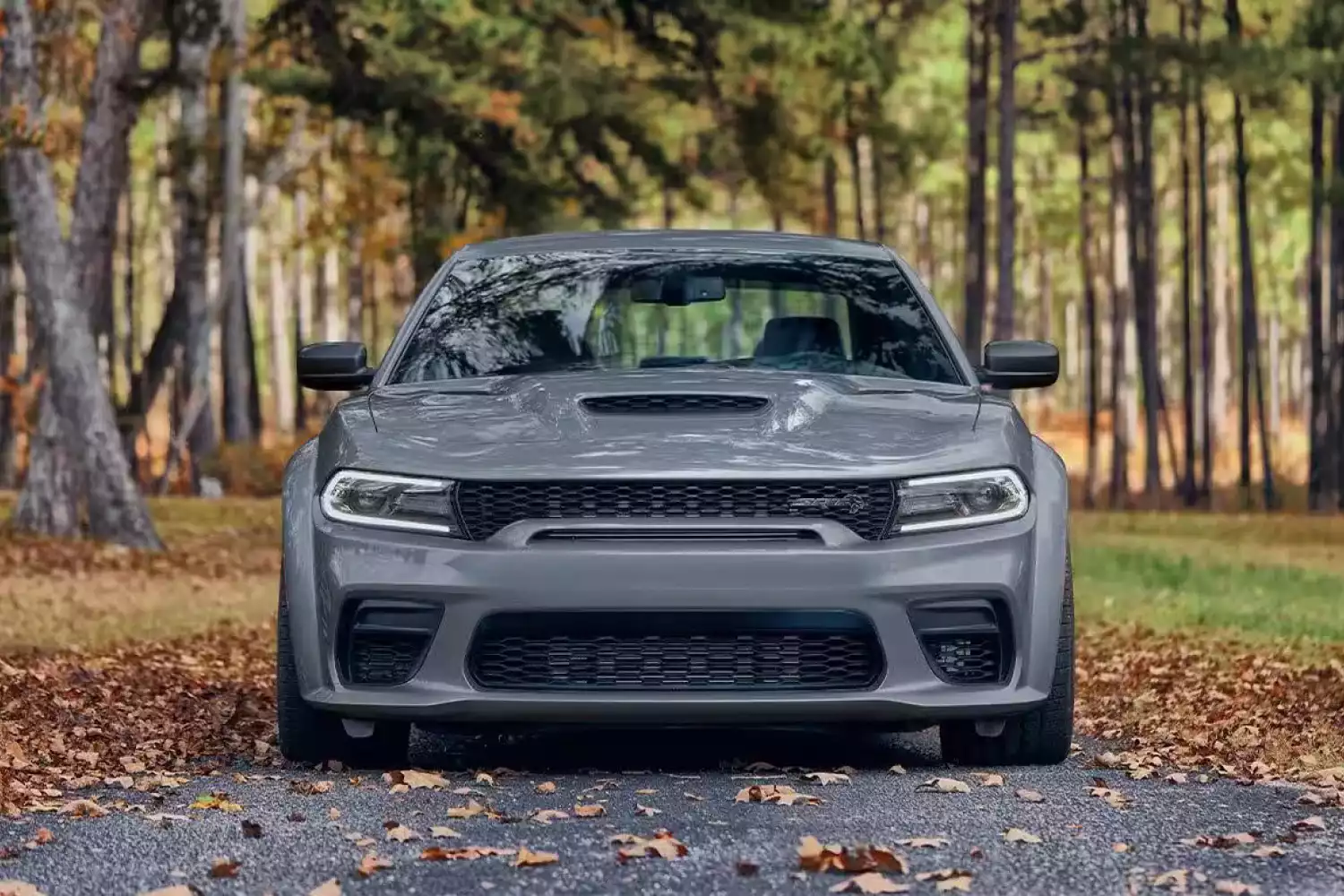 trunk organizer for Dodge Charger