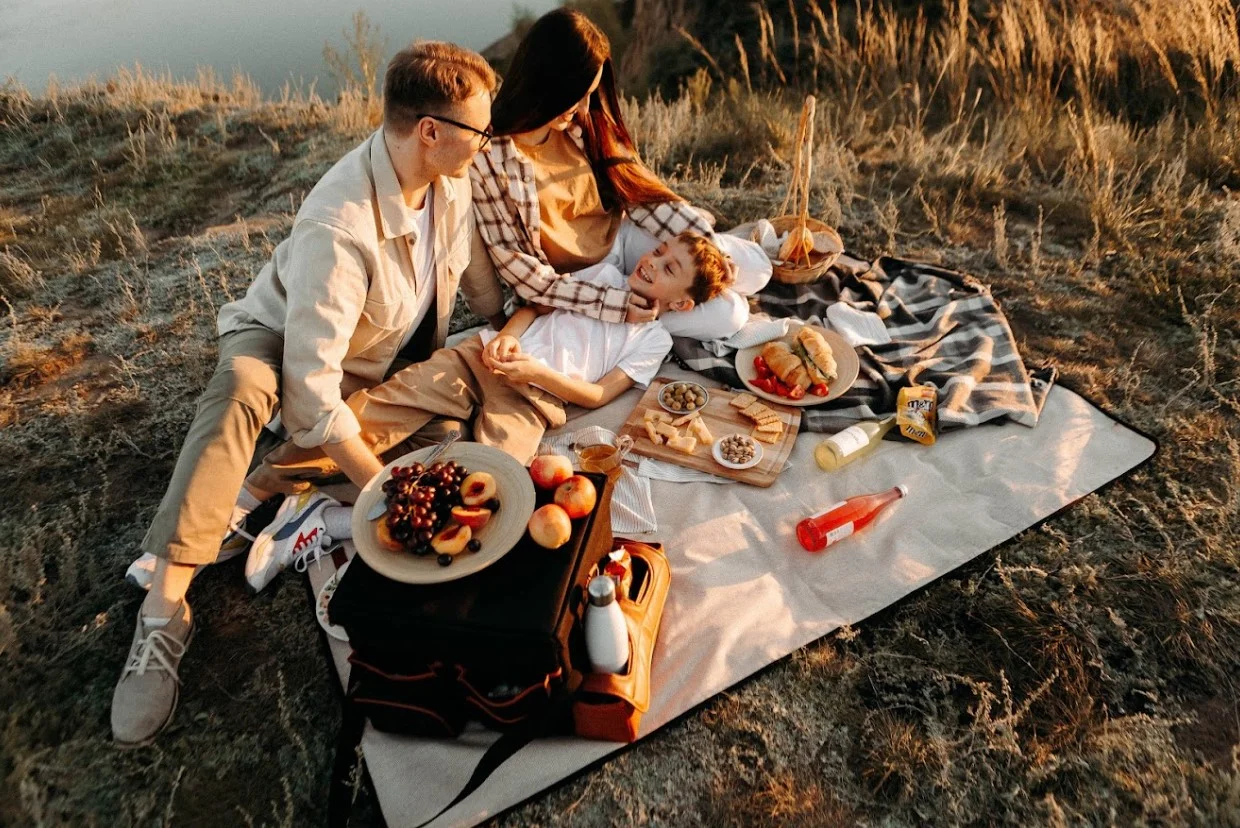 stylish picnic blanket