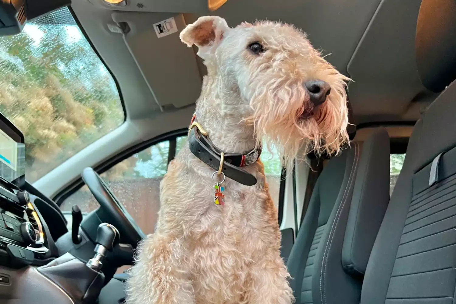 Subaru Forester Dog Car Seat for Lakeland Terriers