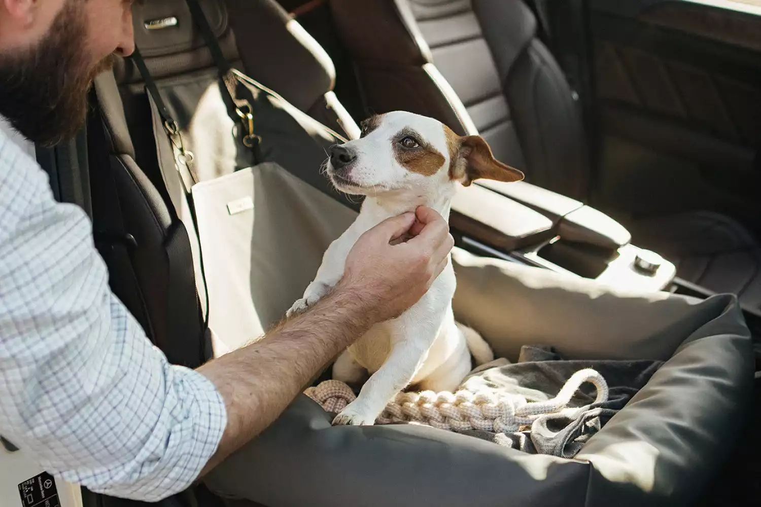 Beagles Dog Car Seat for Mazda6