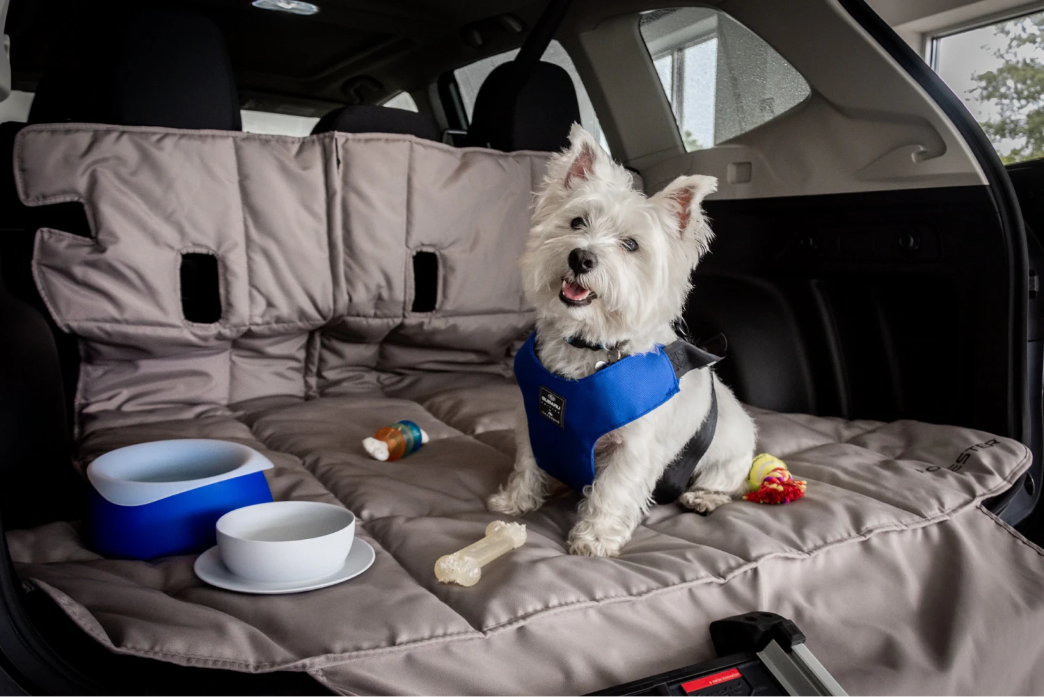 trash containers for Subaru Forester