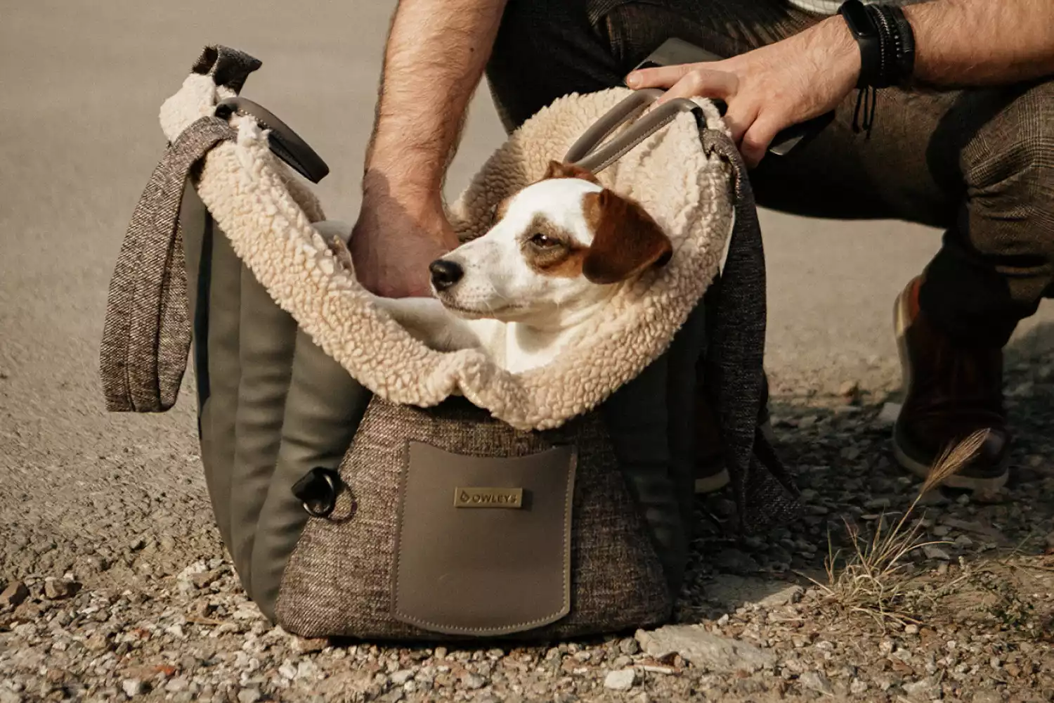 Jeep Wrangler Dog Carrier Car Seat for Toy Alaskan Husky