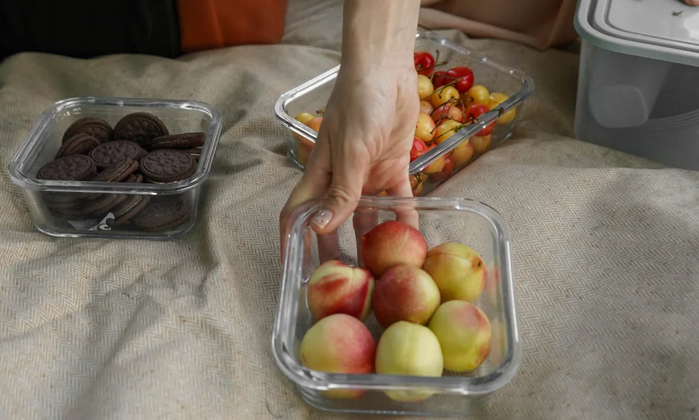 best portable picnic blanket