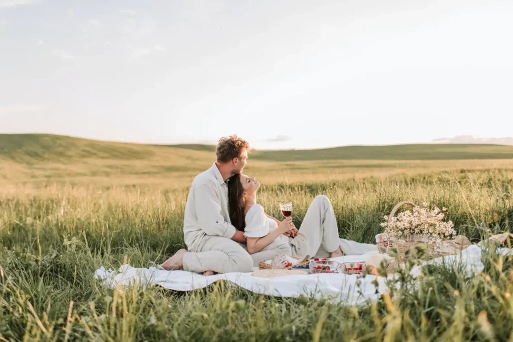 roll up picnic blanket