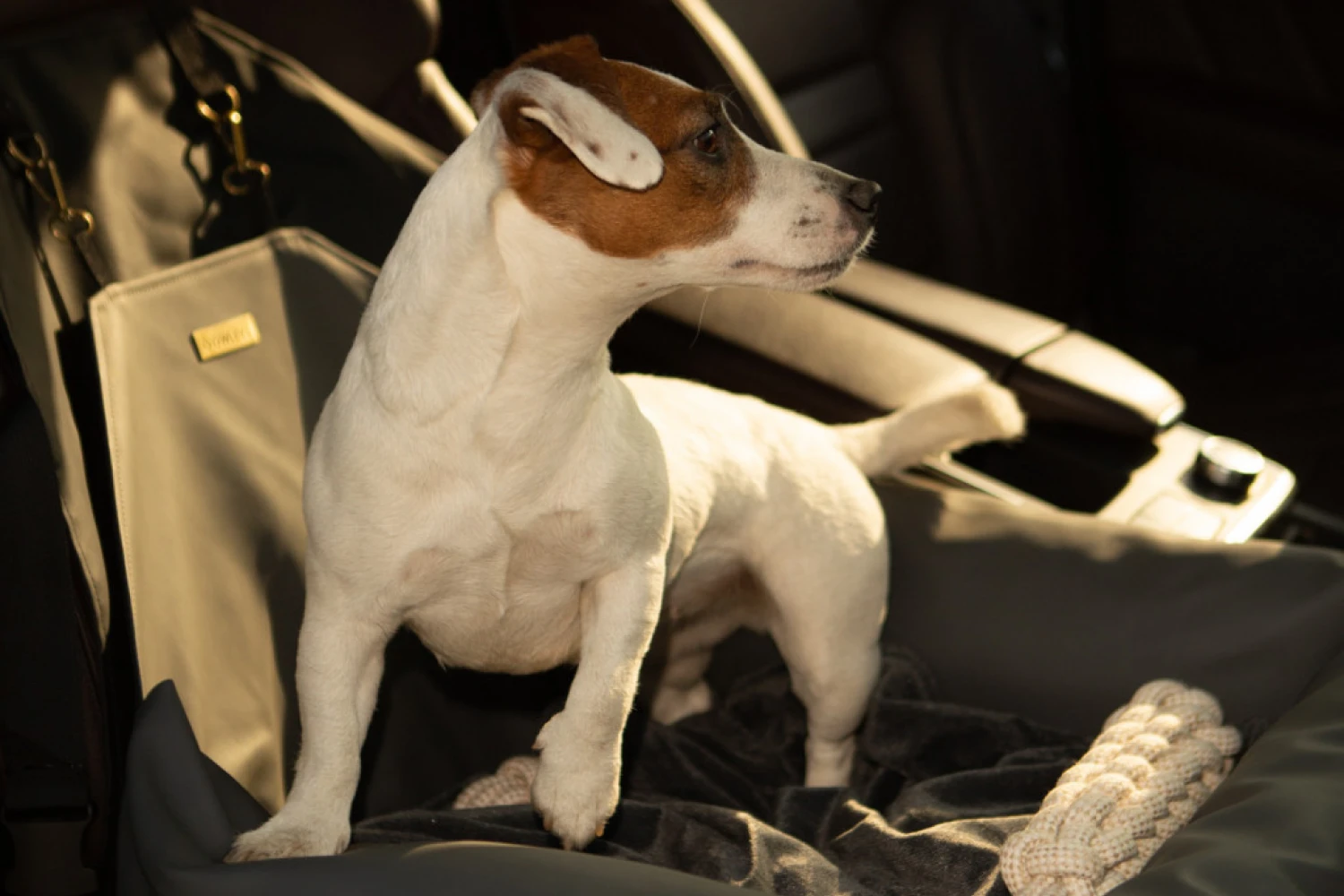 Toyota 4Runner Dog Car Seat for Bull Terriers