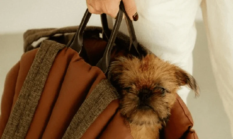 Dog Carrier Purse for Toy Cocker Spaniel