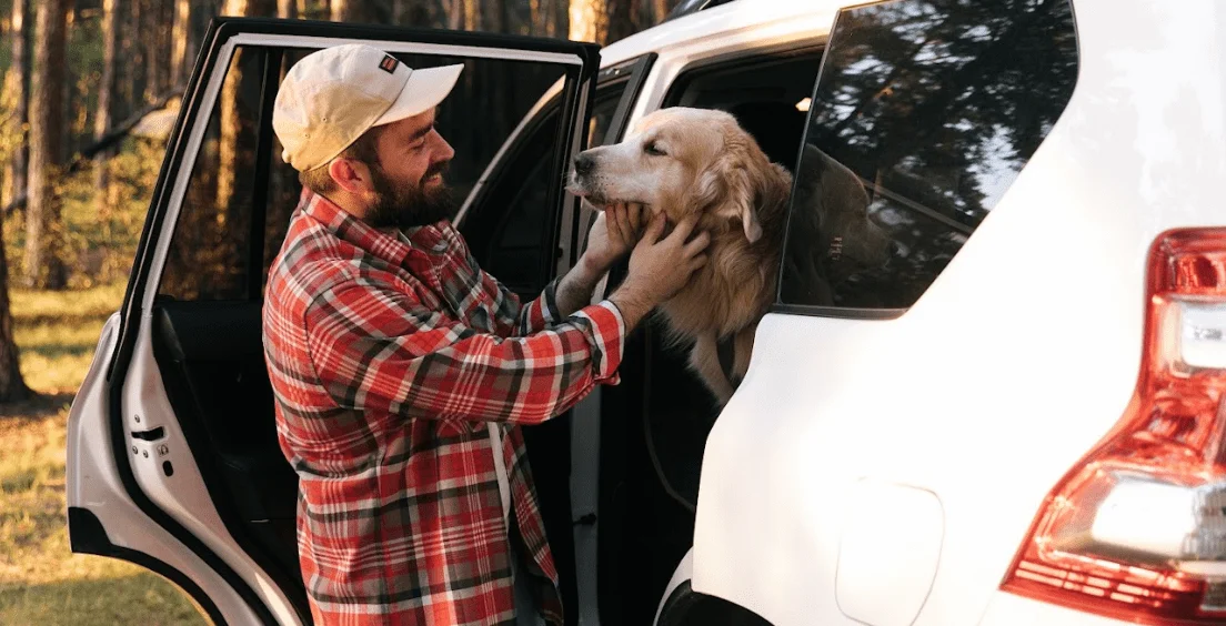 Jeep Renegade Dog Safety Belt for Lagotti Romagnoli